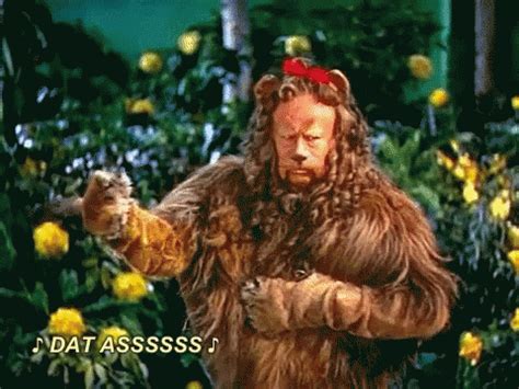 cowardly lion gif|cowardly lion meme.